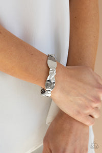 Absolutely Applique - Silver - Barbara Towles Masterson's Store