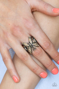 Blinged Out Butterfly - Brass - Barbara Towles Masterson's Store