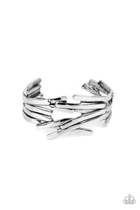 Stockpiled Style - Silver - Barbara Towles Masterson's Store