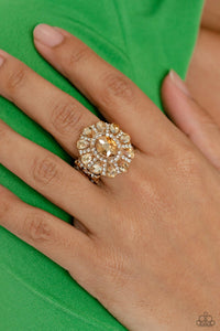 GLIMMER and Spice - Gold Ring - Paparazzi Life of the Party March 2023